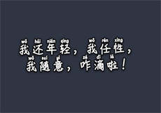 类似vip浏览器的软件
